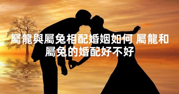 屬龍與屬兔相配婚姻如何 屬龍和屬兔的婚配好不好